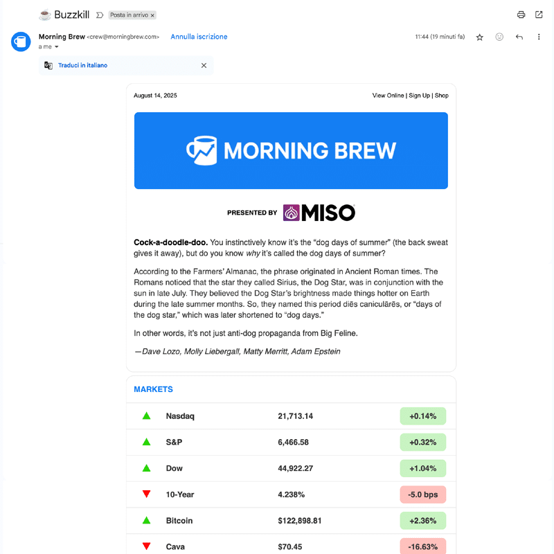 morning brew esempio newsletter